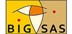 logo_bigsas